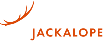 light logo